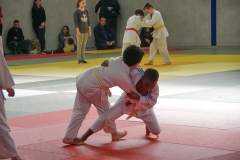 DSC03002-1