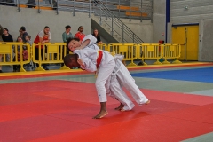 DSC03058-1