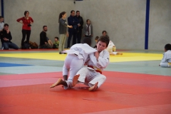 DSC03114-1