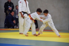 DSC03152-1