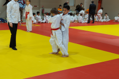 IMG20221211105515