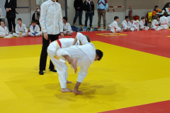 IMG20221211105542