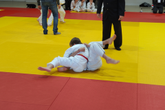 IMG20221211112401