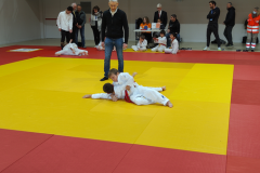 IMG20221211113740