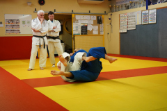 DSC05237-1