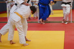 DSC05261-1