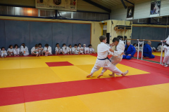 DSC05273-1