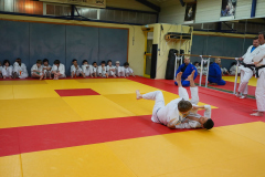 DSC05274-1