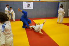 DSC05312-1