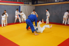 DSC05335-1