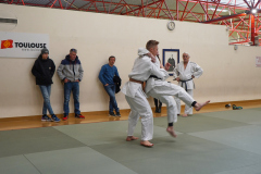 DSC02478-1