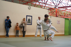 DSC02509-1