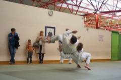 DSC02510-1