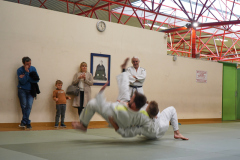 DSC02511-1