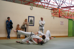 DSC02513-1