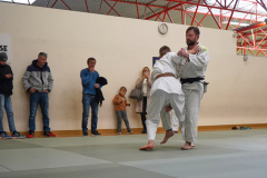 DSC02516-1