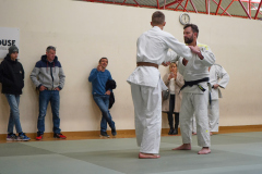 DSC02532-1