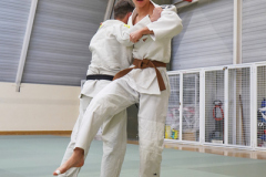DSC02546-1