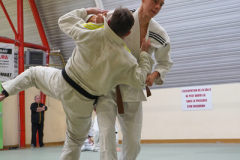 DSC02574-1