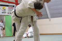 DSC02584-1