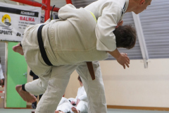 DSC02585-1