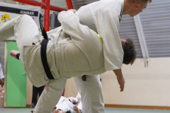DSC02586-1