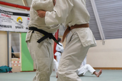 DSC02587-1