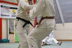 DSC02588-1