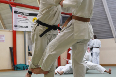 DSC02591-1
