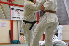 DSC02593-1
