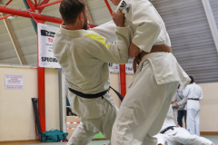 DSC02596-1