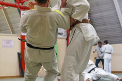 DSC02599-1