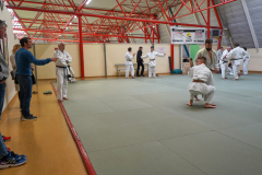 DSC02603-1