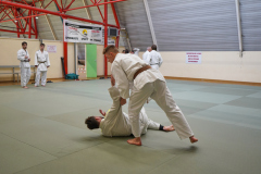 DSC02613-1