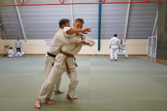 DSC02639-1