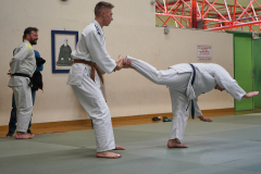 DSC02648-1