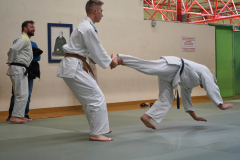 DSC02649-1