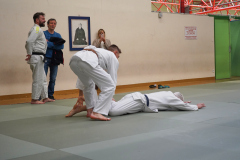 DSC02650-1