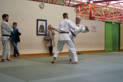 DSC02656-1