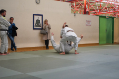 DSC02664-1