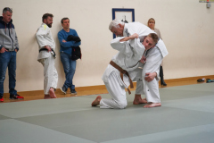 DSC02672-1