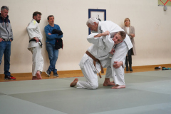 DSC02684-1