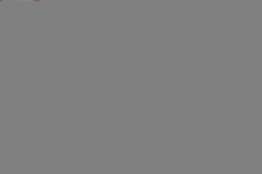 DSC02834-1