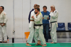 DSC02910-1