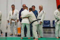 DSC02916-1