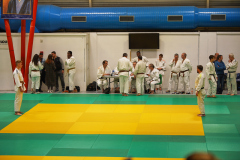 DSC02951-1
