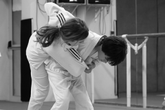DSC08078-1