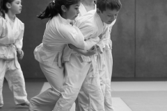 DSC08084-1