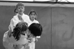 DSC08118-1