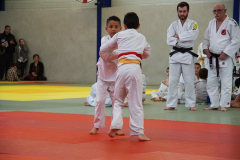 DSC03123-1